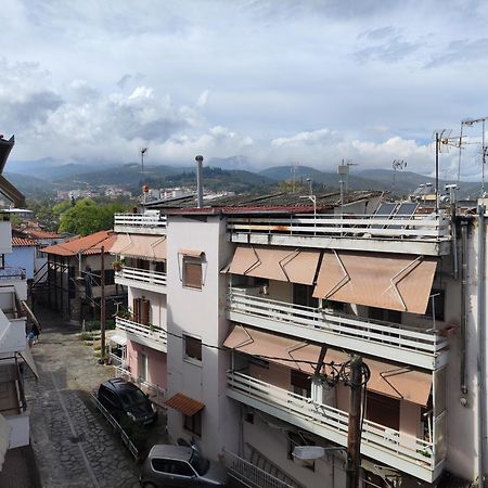 Blue Dreams Apartment Veria  Luaran gambar
